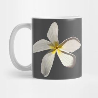 Overlooked Flora - Plumeria Mug